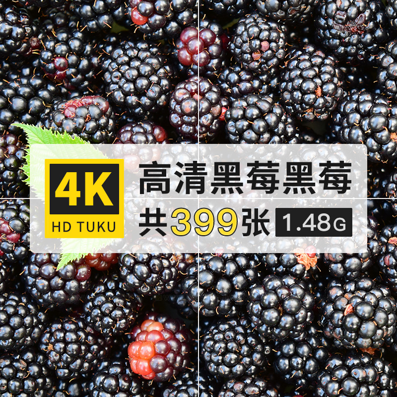 黑莓树莓果实温带水果大图4K高清电脑图片壁纸ps海报设计jpg素材