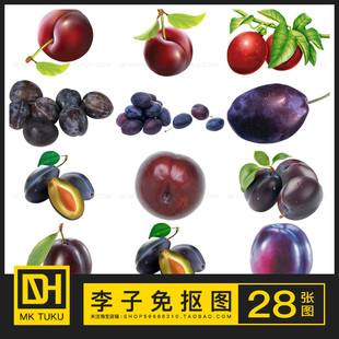 李子黑布林嘉应子水果免扣免抠图PNG图片ps海报设计插画插图素材