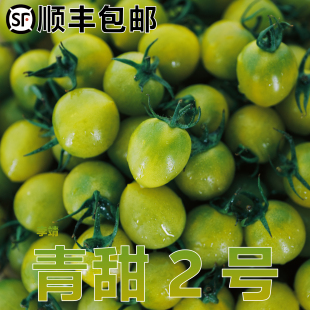 寿光青甜2号绿色小番圣女果西红柿【顺丰包邮】