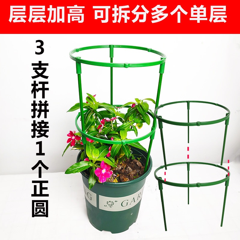 花架支撑杆蟹爪兰绿萝长藤金钱树香雪兰花架球兰三角梅爬藤支架