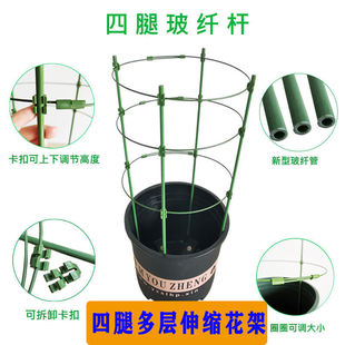 蟹爪兰专用支架花架支撑杆蟹爪兰支架花支架防倒昙花三角梅爬藤架