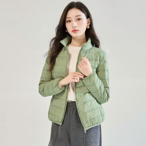 2025冬季新国标90绒简约羽绒服