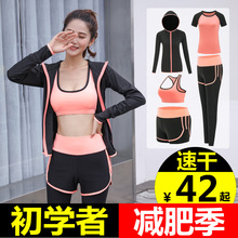 2025春夏瑜伽服套装女小个子户外速干晨跑服健身房跑步运动套装女