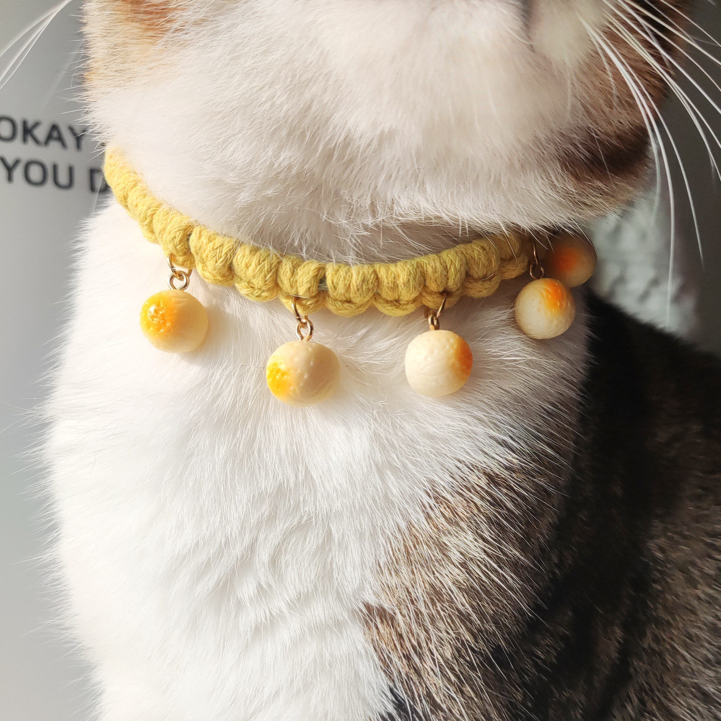 猫咪可爱项圈小馒头颈圈搞怪脖圈宠物猫手工棉绳黄色颈链可调节