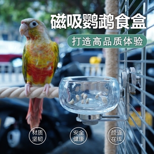 鹦鹉食盒内挂保温箱底网两用磁吸防撒粮玻璃饲料碗鸟用食杯喂食器
