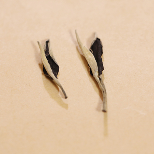 汝城木草人高山白毛茶 250G 一芽一叶 湖南省金奖茶