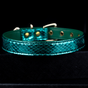 choker项圈女蛇皮多色简约亚文化puppy项圈