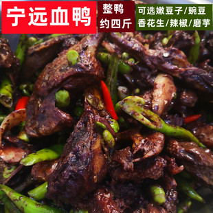 约四斤宁远血鸭血浆鸭现炒鸭子湖南永州血鸭