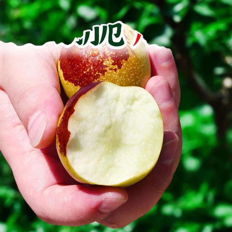 正宗陕西大荔冬枣水果新鲜脆枣当季枣子整箱5斤冬枣特大多汁果子