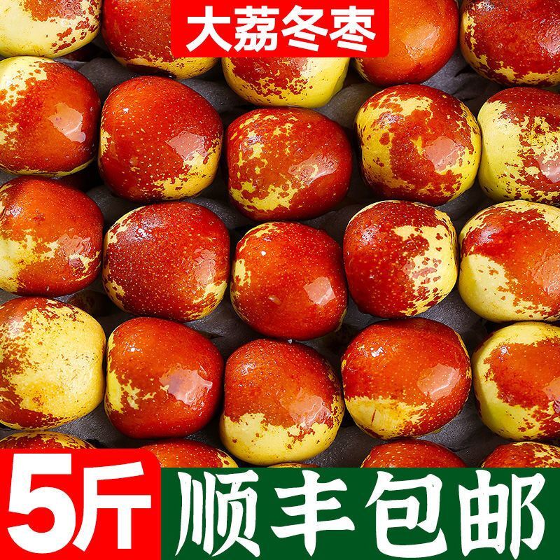 正宗陕西大荔冬枣水果新鲜脆枣当季枣子整箱5斤冬枣特大多汁果子