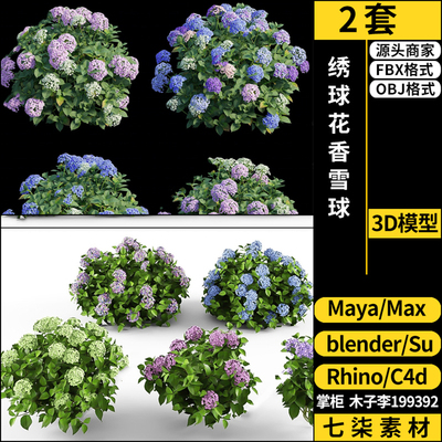 Rhino犀牛C4D绣球花香雪球SU/blender/3Dmax模型FBX OBJ MAYA素材