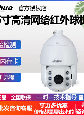 大华6寸云台全彩红外警戒球机