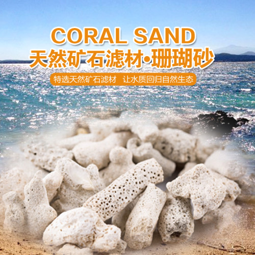 自然滤材珊瑚骨装饰净化底砂