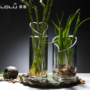 花瓶玻璃富貴竹水培植物玻璃 養(yǎng)花花瓶插花容器綠蘿花盆器皿擺件