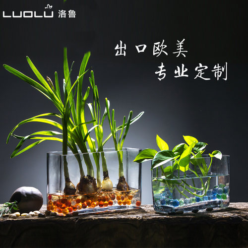 花瓶洛鲁玻璃鱼缸水培花瓶