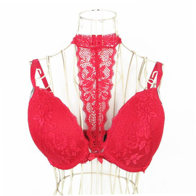 艾格性感有钢圈薄杯蕾丝文胸