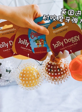 英国rosewood宠物狗玩具球磨牙耐咬弹力球抑菌无声发声球巡回互动