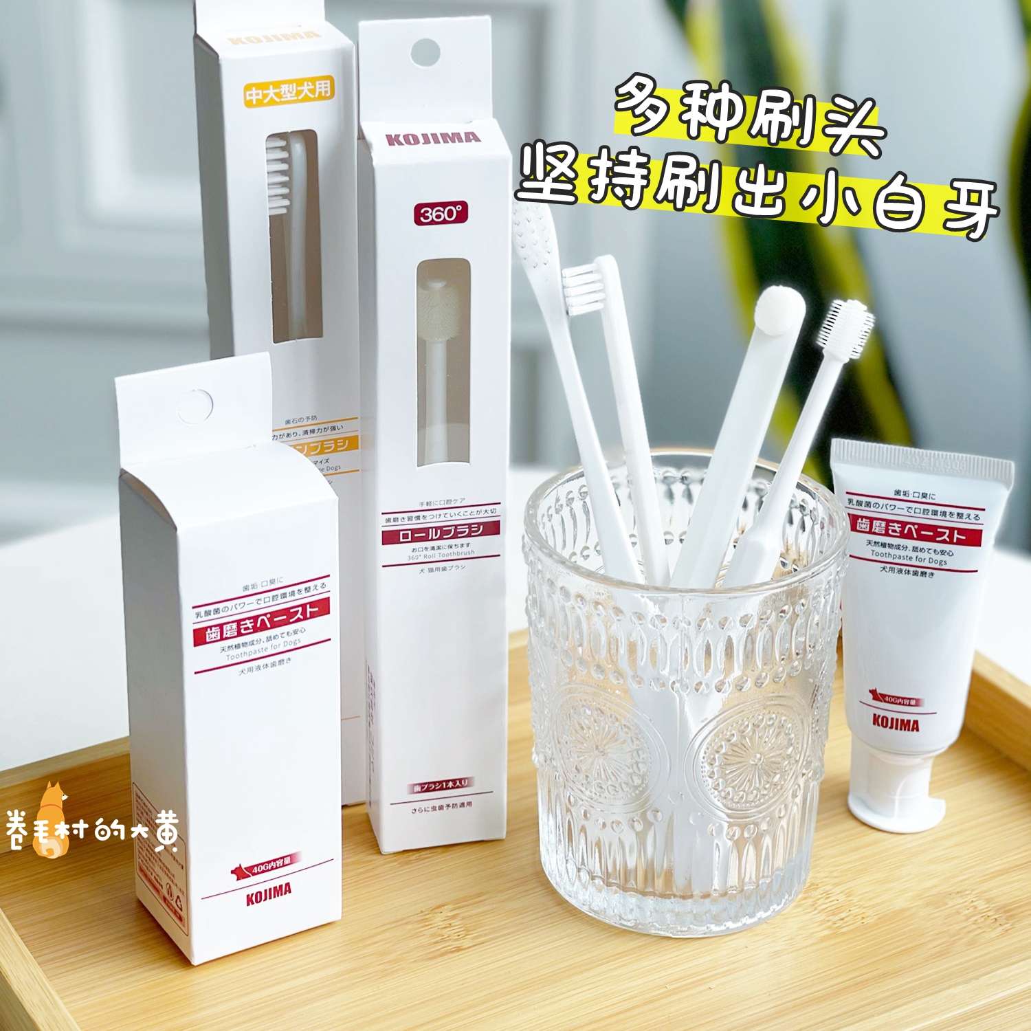 KOJIMA宠物用牙刷牙膏套装软毛