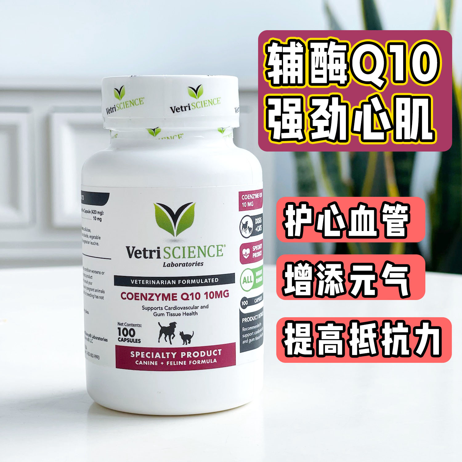 美国VetriScience宠物大师辅酶q10保护心脏心血管心率 猫咪狗狗用