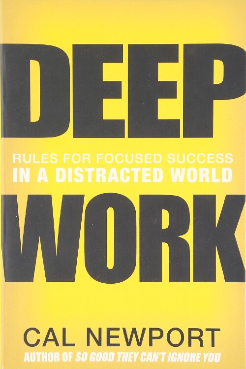 英文原版 Deep Work 深度工作：如何有效使用每一点脑力 信息碎片时代的自控力、专注力、精力管理和时间管理指南 9781455563869