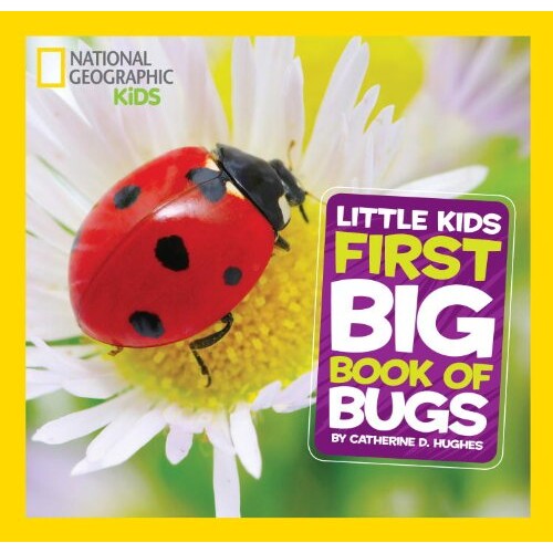 预订 关于昆虫的大书 动物故事 美国国家地理 幼儿大书系列 英文 National Geographic Little Kids First Big Book of Bugs