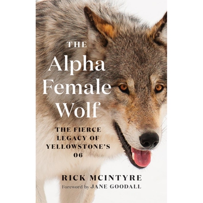 预售 狼之女王 6号母狼的遗产 黄石公园 狼王四部曲系列4 Rick Mcintyre 英文原版 The Alpha Female Wolf