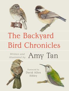 Bird Backyard Chronicles The 现货