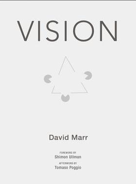 Vision 英文原版 视觉计算理论 David Marr