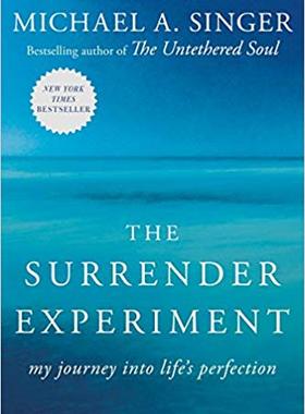 英文原版 臣服实验 清醒地活作者迈克辛格(Michael A.Singer)The Surrender Experiment:My Journey Into Life's Perfection