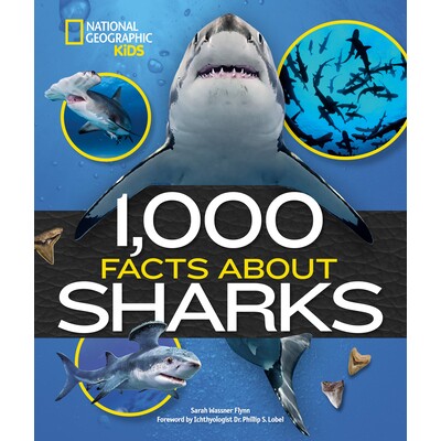 预订 关于鲨鱼的 1000个事实 鱼类百科 1000个趣味知识系列 英文 1000Facts About Sharks
