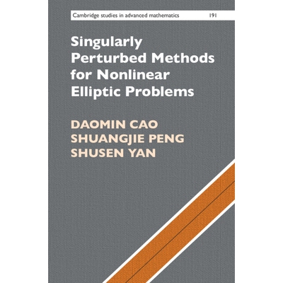 Singularly Perturbed Methods for Nonlinear Elliptic Problems 用于非线性椭圆问题的奇异摄动法 9781108836838