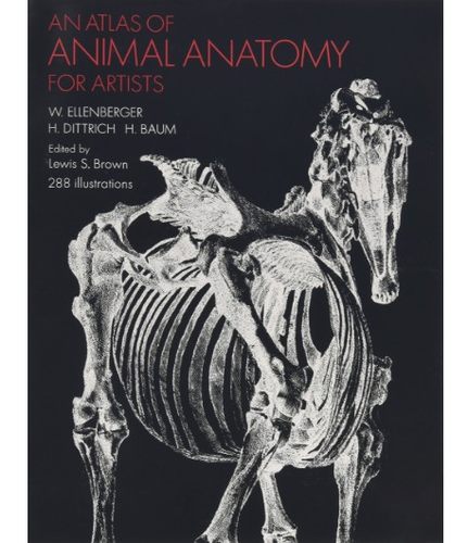 动物解剖图谱英文原版