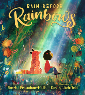 英文原版 精装 Before Rainbows Litchfield插画 Rain David 雨 彩虹前 绘本