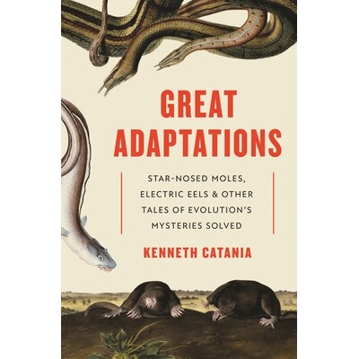 伟大的改编:解决了星鼻痣,鳗鱼和其他进化论故事Great Adaptations