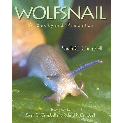 预订 狼蜗牛：后院的掠食者 科学自然 动物学 英文  Wolfsnail: A Backyard Predator:9781590785546