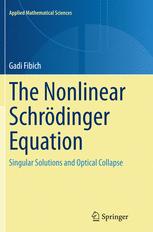 预订 The Nonlinear Schrödinger Equation