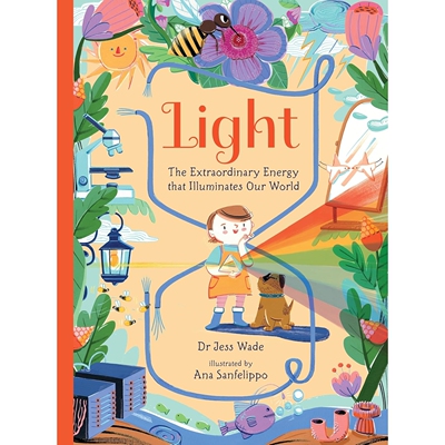 现货 光 照亮我们世界的非凡能量 英文原版 STEM 精装科普绘本 Light: The Extraordinary Energy That Illuminates Our World