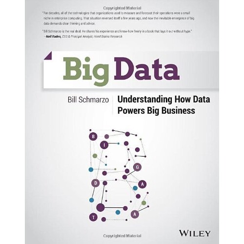 Big Data Understanding How Data Powers Big Business 大数据：解读数据如何给大企业推动力 9781118739570