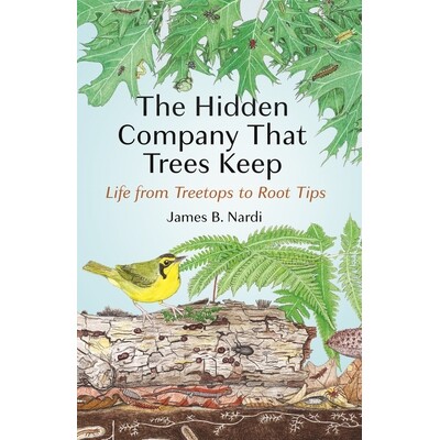 The Hidden Company That Trees Keep Life from Treetops to Root Tips 树的隐伴:从树梢到根尖的生命 9780691237978