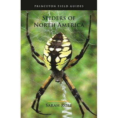 Spiders of North America 北美洲的蜘蛛 9780691175614