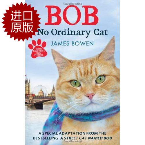 英文原版 流浪猫鲍勃 非同寻常的猫咪 Bob: No Ordinary Cat. James Bowen