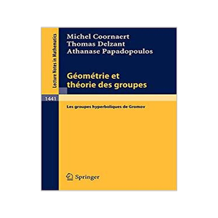 预订 Geometrie Et Theorie Des Groupes: Les Groupes Hyperboliques de Gromov