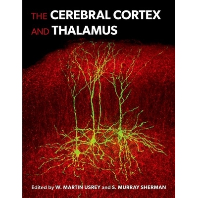 The Cerebral Cortex and Thalamus 大脑皮层和丘脑 9780197676158