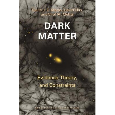 Dark Matter Evidence, Theory, and Constraints 暗物质研究：证据、理论和约束 9780691249520