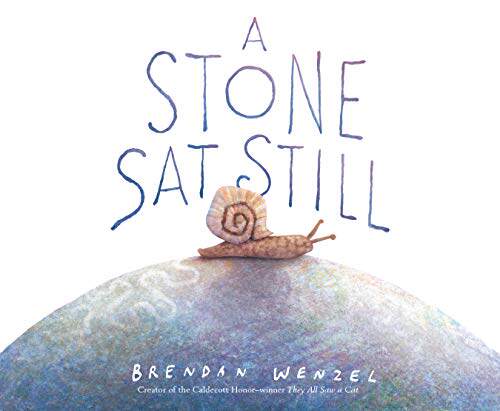 英文原版 一颗安静的石头 Brendan Wenzel插画绘本 精装 凯迪克奖得主 A Stone Sat Still