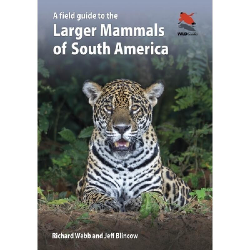 A Field Guide to the Larger Mammals of South America 南美洲大型哺乳动物图鉴 9780691174099
