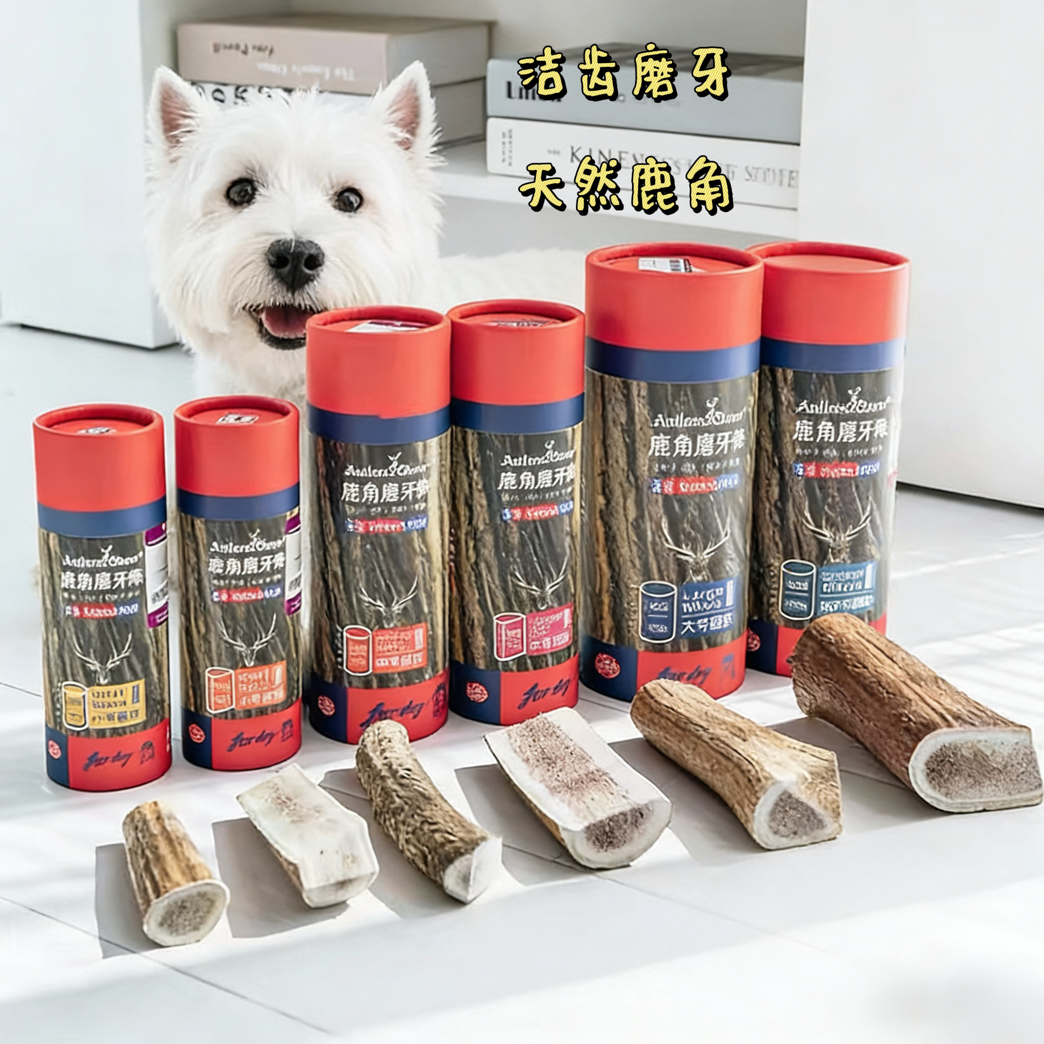 吉辛宠物天然鹿角洁齿骨狗狗磨牙零食耐咬去结石补钙骨头中小型犬