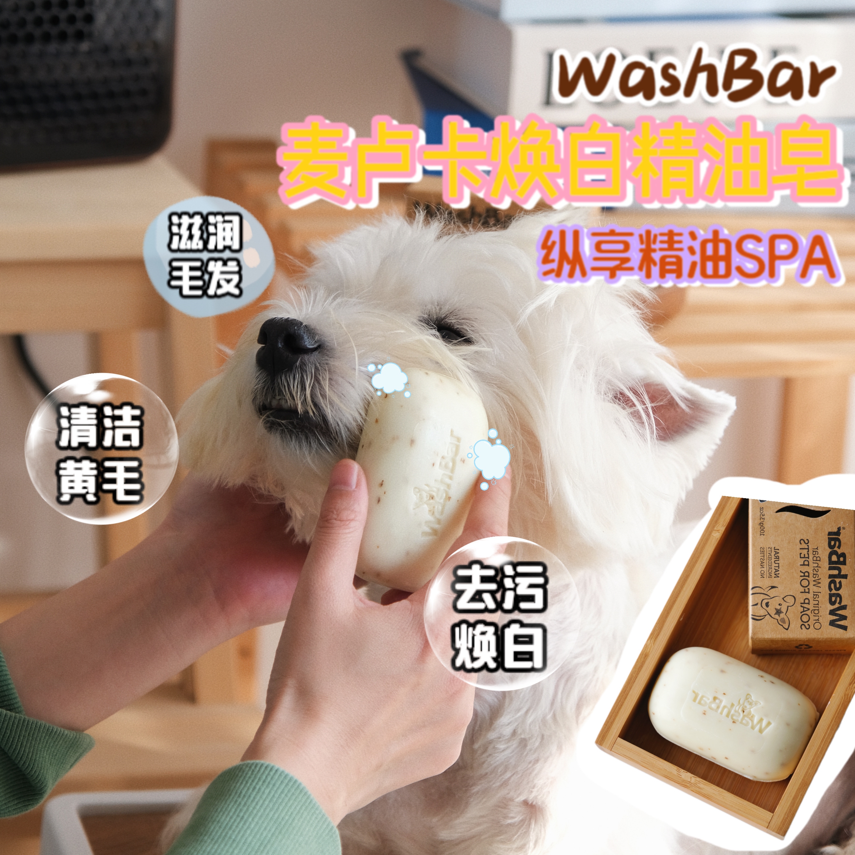 Washbar 狗狗香皂新西兰卢卡精油西高地洗脸洗嘴毛洗澡美白沐浴皂