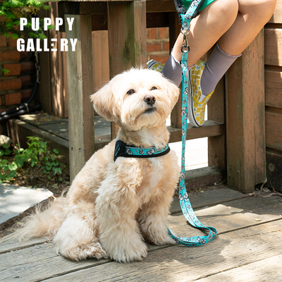 puppygallery防爆冲狗牵引绳