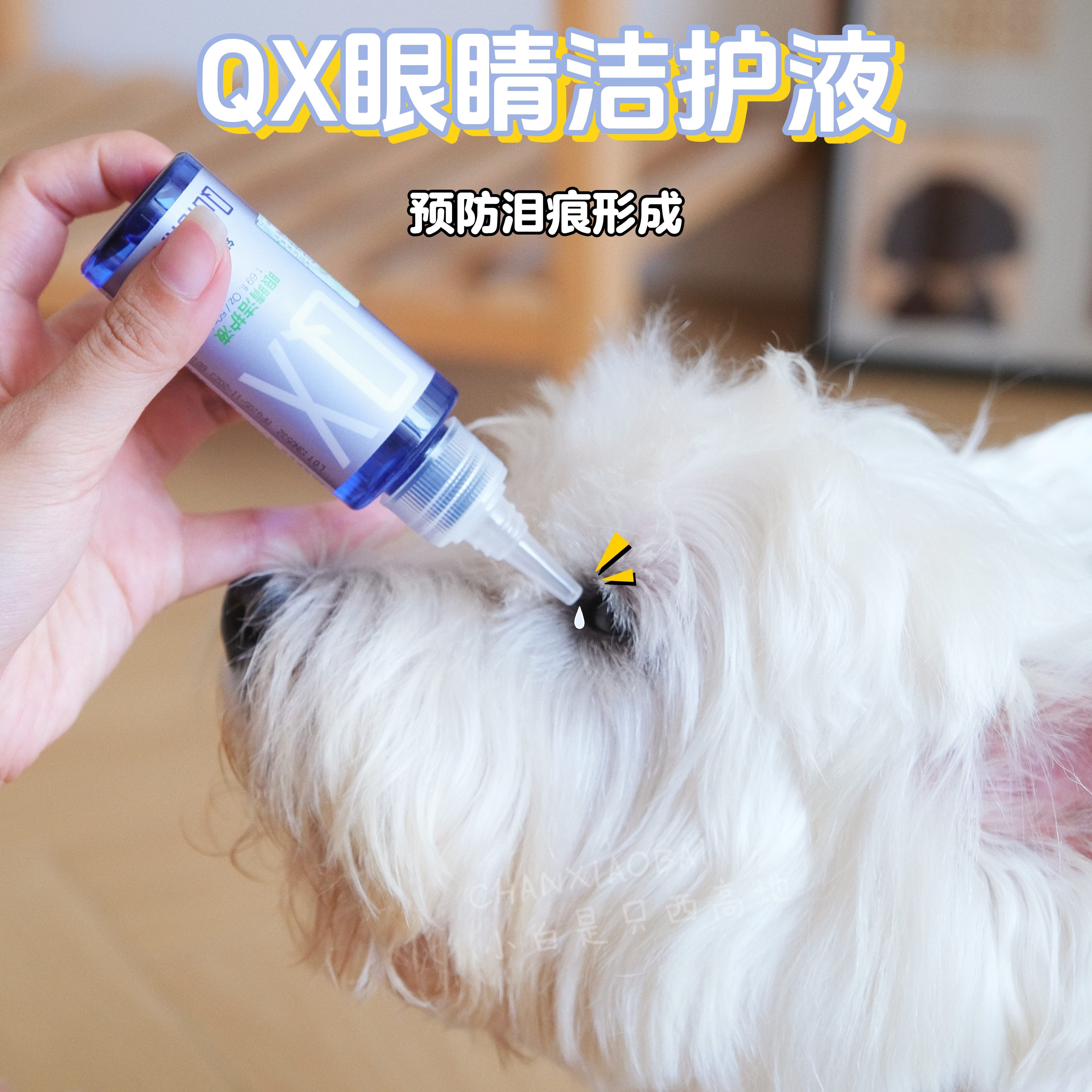 QX眼部清洁护理眼睛消炎眼药水